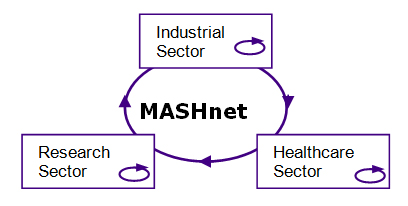 Three strands of MASHnet